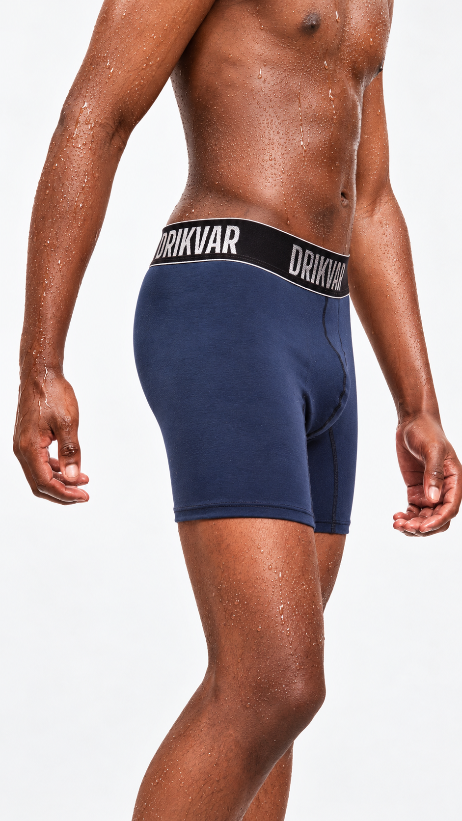 Cotton Turquoise, boxer DRIKVAR turquí 4